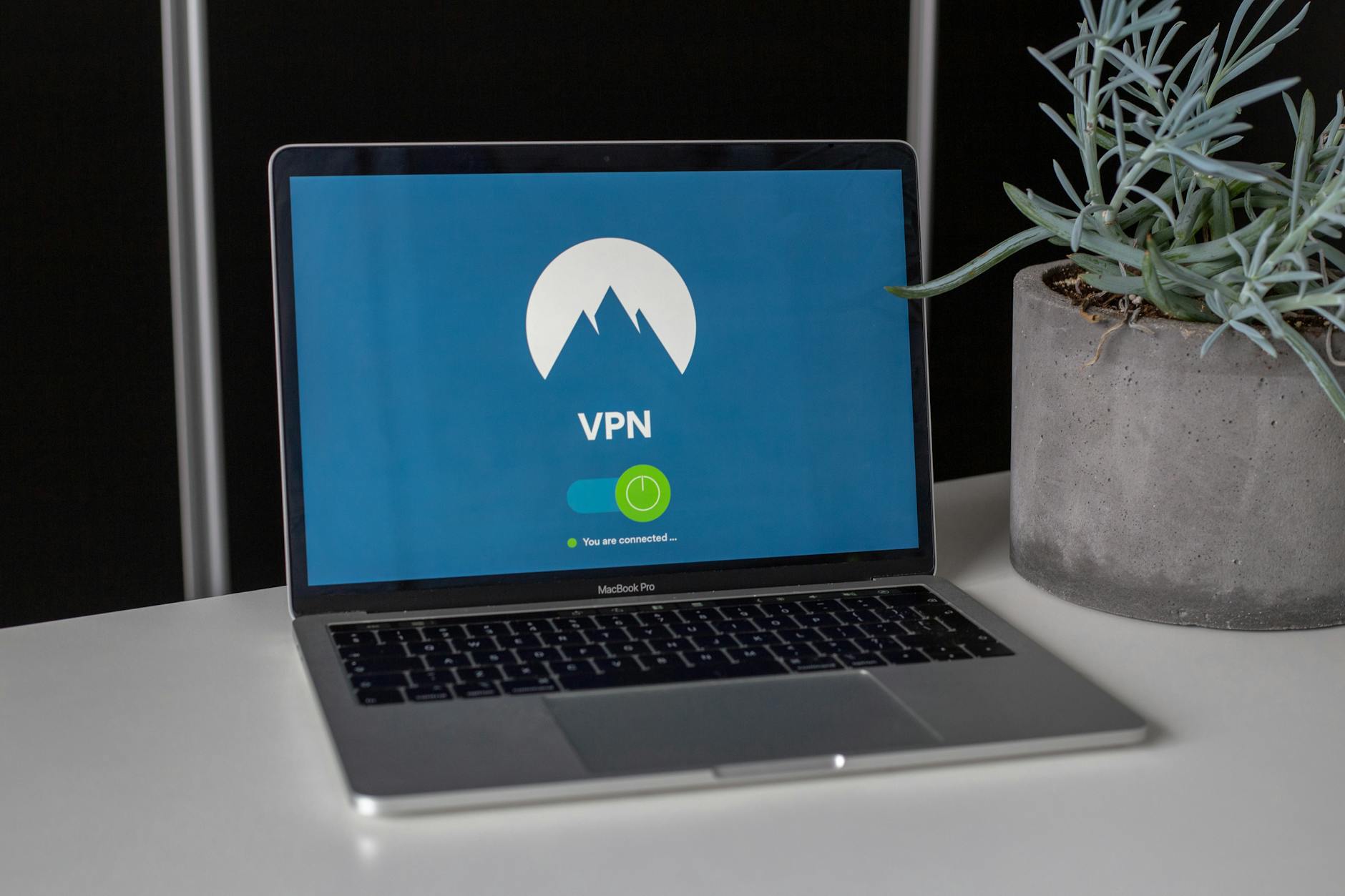 Laptop z włączonym ekranem VPN obok sukulenta na biurku